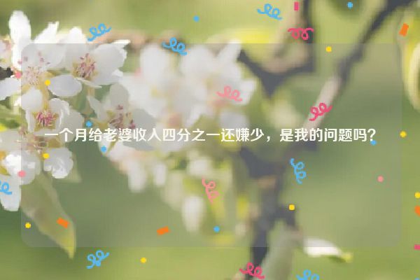 一个月给老婆收入四分之一还嫌少，是我的问题吗？