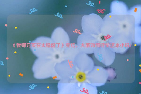 《我师兄实在太稳健了》完结，大家如何评价这本小说?